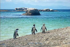 Screenshot-2022-03-28-at-12-46-15-Francois-@2travelbugsbuzz-•-Instagram-photos-and-videos
